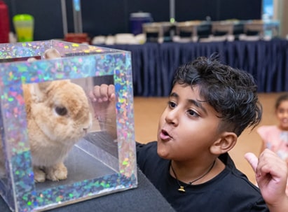 Animal Magic Show